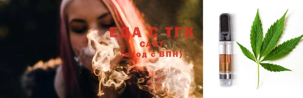амф Новозыбков