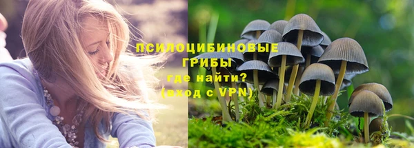 винт Нефтегорск