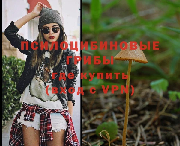 первитин Нея