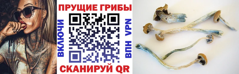 Псилоцибиновые грибы мицелий Коммунар
