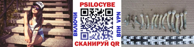 Псилоцибиновые грибы ЛСД  Купить где  Коммунар 